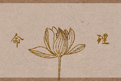 老皇历|择吉皇历|老皇历万年历